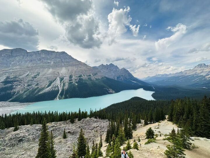 Peyto Lake is shaped like a giant wolf’s head when you see it from above. Its blue comes from the same magic glacier dust as Moraine Lake — the colour shifts from milky blue to deep teal as the sun moves.
