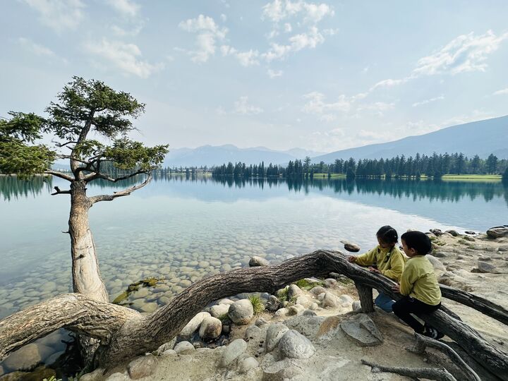 This “Old Man Tree” at Lac Beauvert has been growing sideways for over 100 years. It’s a famous photo spot in Jasper.